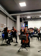 Violoncello 5.jpeg