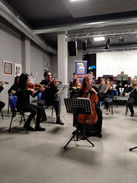 Violoncello 4.jpeg
