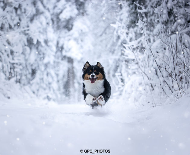 GPC_PHOTOS_Akira -5 ok.jpg