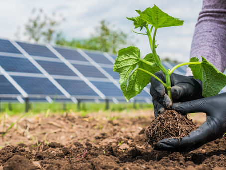 Tendências em Energia Solar para 2024: O Que Esperar?