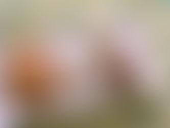 「ご厚意は遠慮なく頂きます!」小倉南区にて宅配無料でお弁当をお届けしています