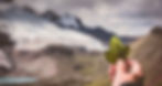 julie-bg-3.jpg