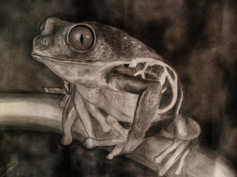 11728873_1466239487027532_5648545848776485068_o