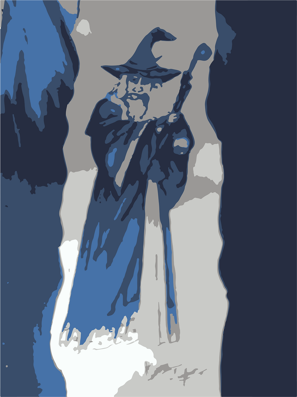 Vector - LS - Merlin