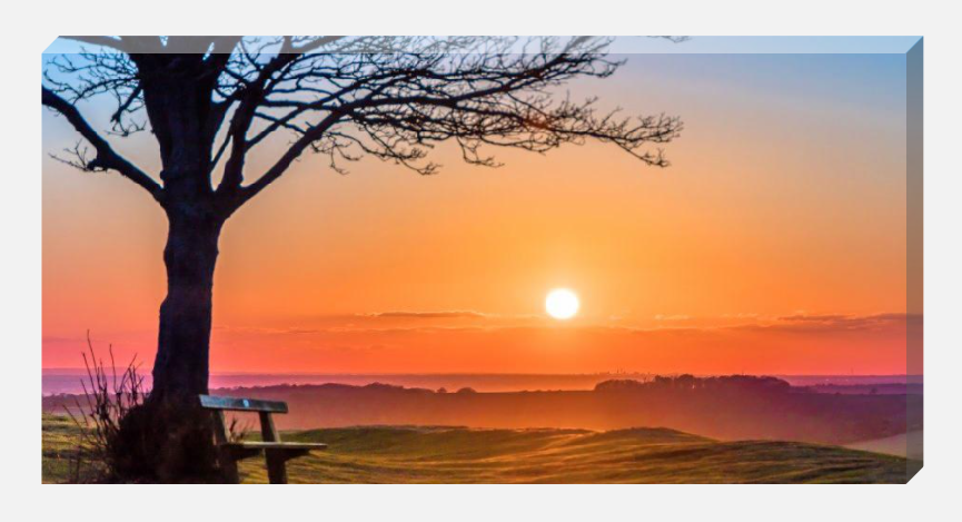 Thumbnail: CANVAS