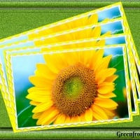 Thumbnail: PHOTO PRINT