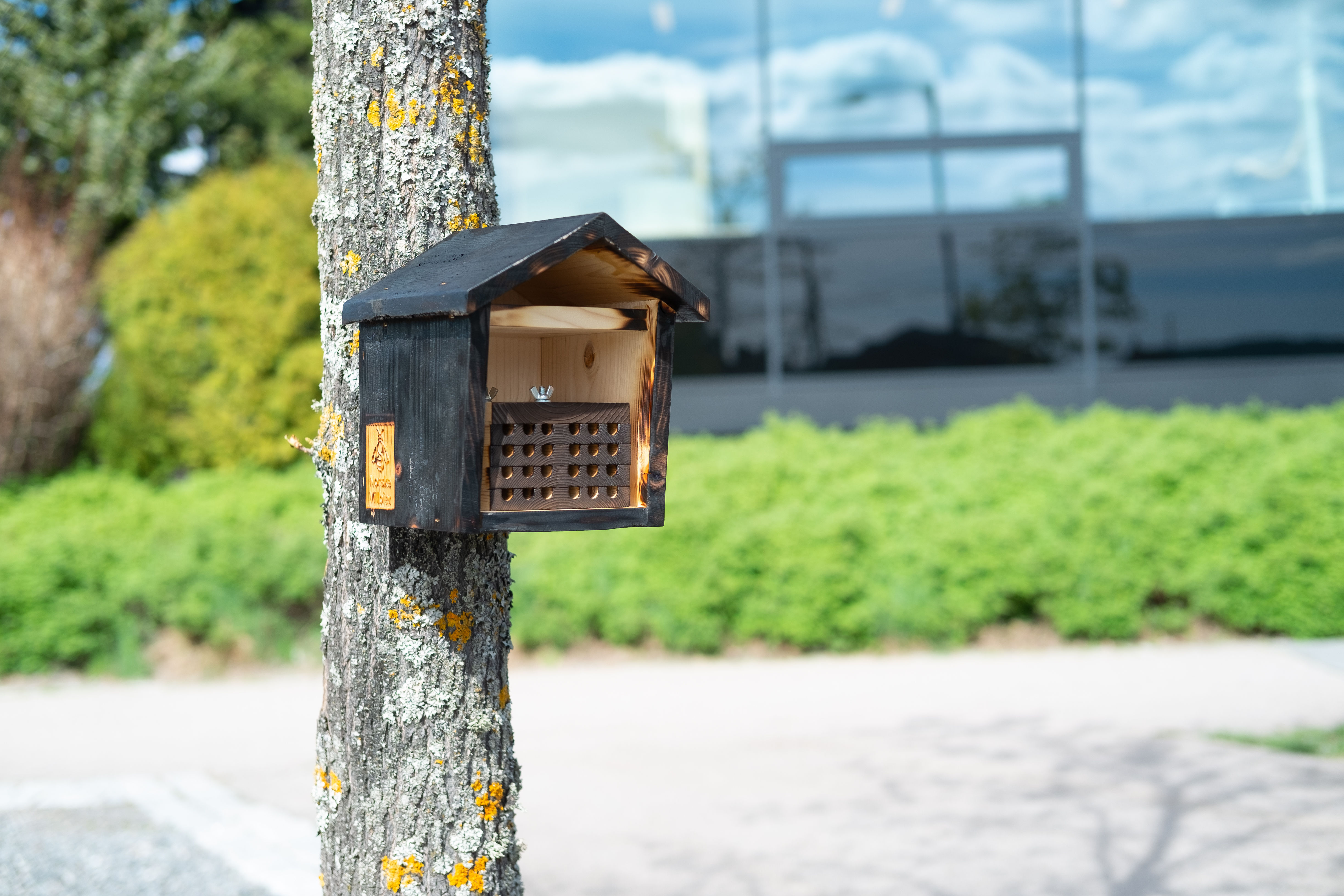 Summehuset & Bibrett 24 hull