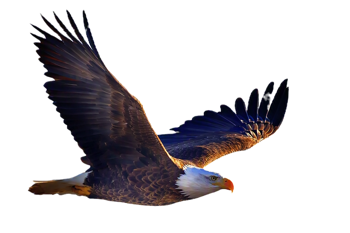 Copilot_20260804_194951_edited.png