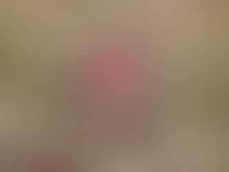 本日は測量現場の境界標設置を行いました。