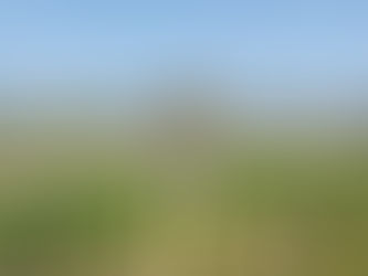 作業風景