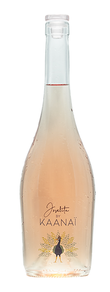 Bouteille Kaanai sans fond.png