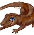 Mocha