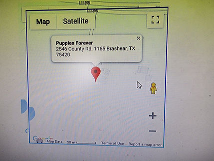 Puppiesforever.net location in Texas.
