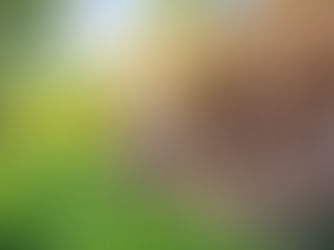 Thương nhau ngày Tết - Truyện ngắn Võ Đào Phương Trâm