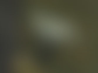 Mộng cỏ - Thơ Võ Đào Phương Trâm