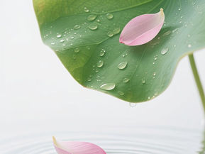 Chùm thơ lục bát tứ tuyệt "Lặng giữa vô thường"