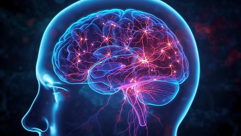 Microglia: the sentinels of the brain