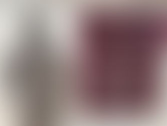 Hippocrates, the father of the exposome.                                                     Dr. Domenico Pratico', MD, FCPP                                                                  