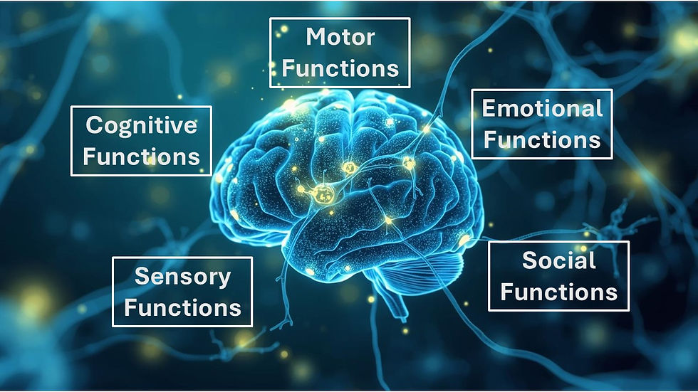 Brain health is the ability of the organ to fully complete and execute its activities.