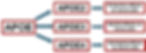 There are 3 major variants of the APOE: APOE2, APOE3, and APOE4. Each has a different effect on nerve cells.