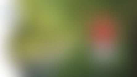 E' possibile bloccare l'Alzheimer prima che inizi? Dott. Domenico Patico', MD, FCPP