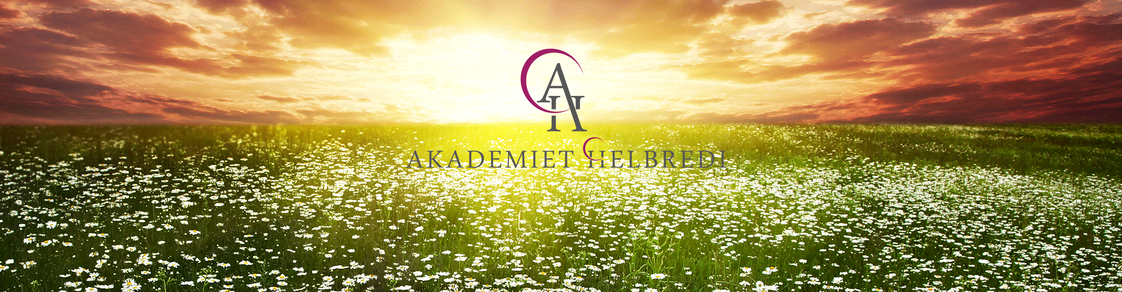 Akademiet Helbredi utdannelse i alternatv medisin