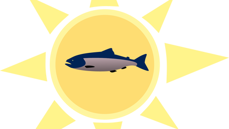 Laks kan produsere vitamin D ved sollys – ny studie gir spennende ny innsikt i vitamin D-metabolismen hos laks!