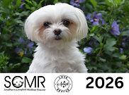 2026 calendar image.png