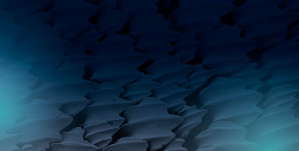 Sharkskin close-up showing aerodynamic detail