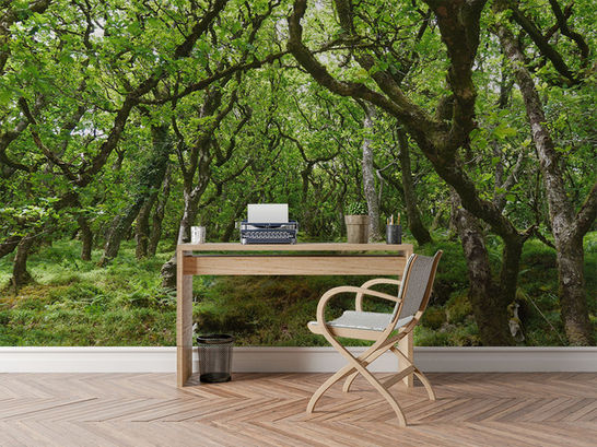 Office space wall coverings.