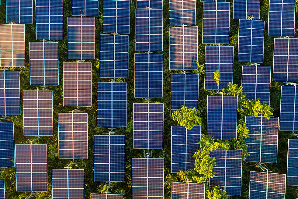 Top view of solar panel farm with green trees and sunlight reflect