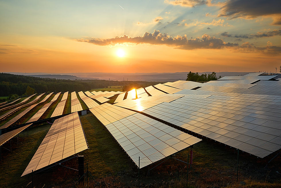 Solar panels in a landscape at sunset