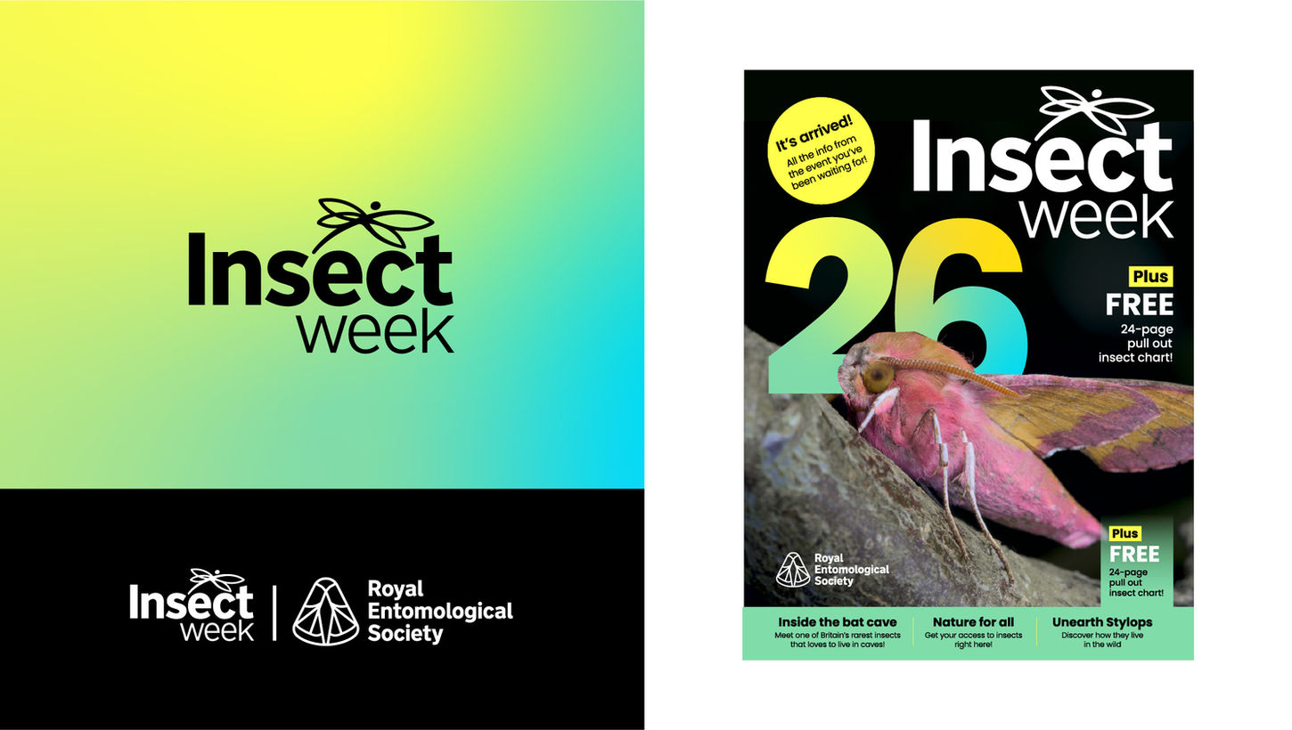 Royal Entomological Society insect week logo and magazine cover