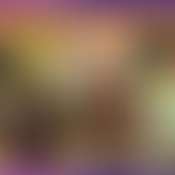 The Eclectic Luxury to Avant Basic Pipeline