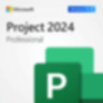 Microsoft Project Profesional 2024