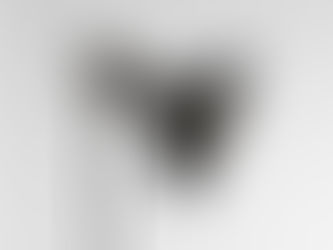 Spotlight: What do TCS Alumni Have to Say?