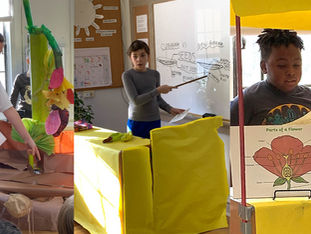 student present science projects