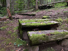 IMG_2670.jpeg