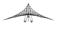 7β