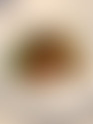 Asian Atlantic Salmon, Smashed Potatoes, Fresh Garden Spinach & Grilled Ontario Asparagus