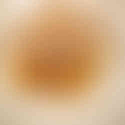 roasted chestnut agnolotti