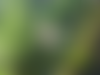 som som's 'Seasonal Depression' Explores Healing Through Indie Fusion