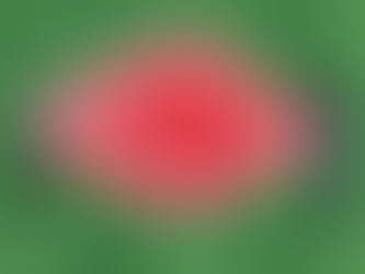 Curly Mouth Unleashes New Album ‘Watermelon & Ginger’: A Genre-Blurring Studio Debut Five Years in the Making