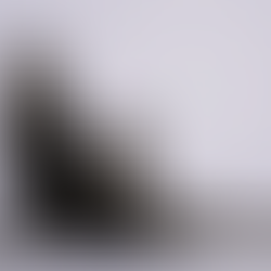 HOLLY ‘FIX’ - The Art of Irresistible Obsession