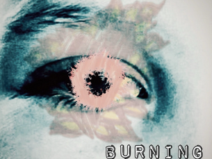 The Neon Sea Shares New Single 'Burning (Troubadour Version)'