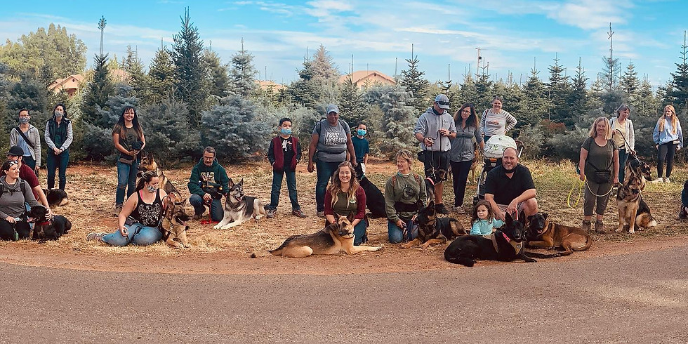Pack Walk - Marshall Gold Discovery State Historic Park