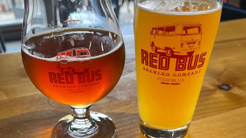 Pack Walk - Red Bus Brewing