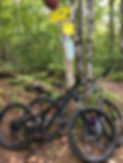 Two mountain bikes leaning against a directional post.jpeg