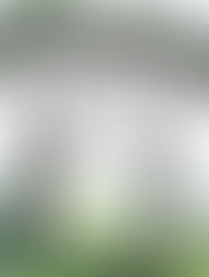 Miks me jääme negatiivsusesse kinni kogu eluks? Kas seda on võimalik muuta?