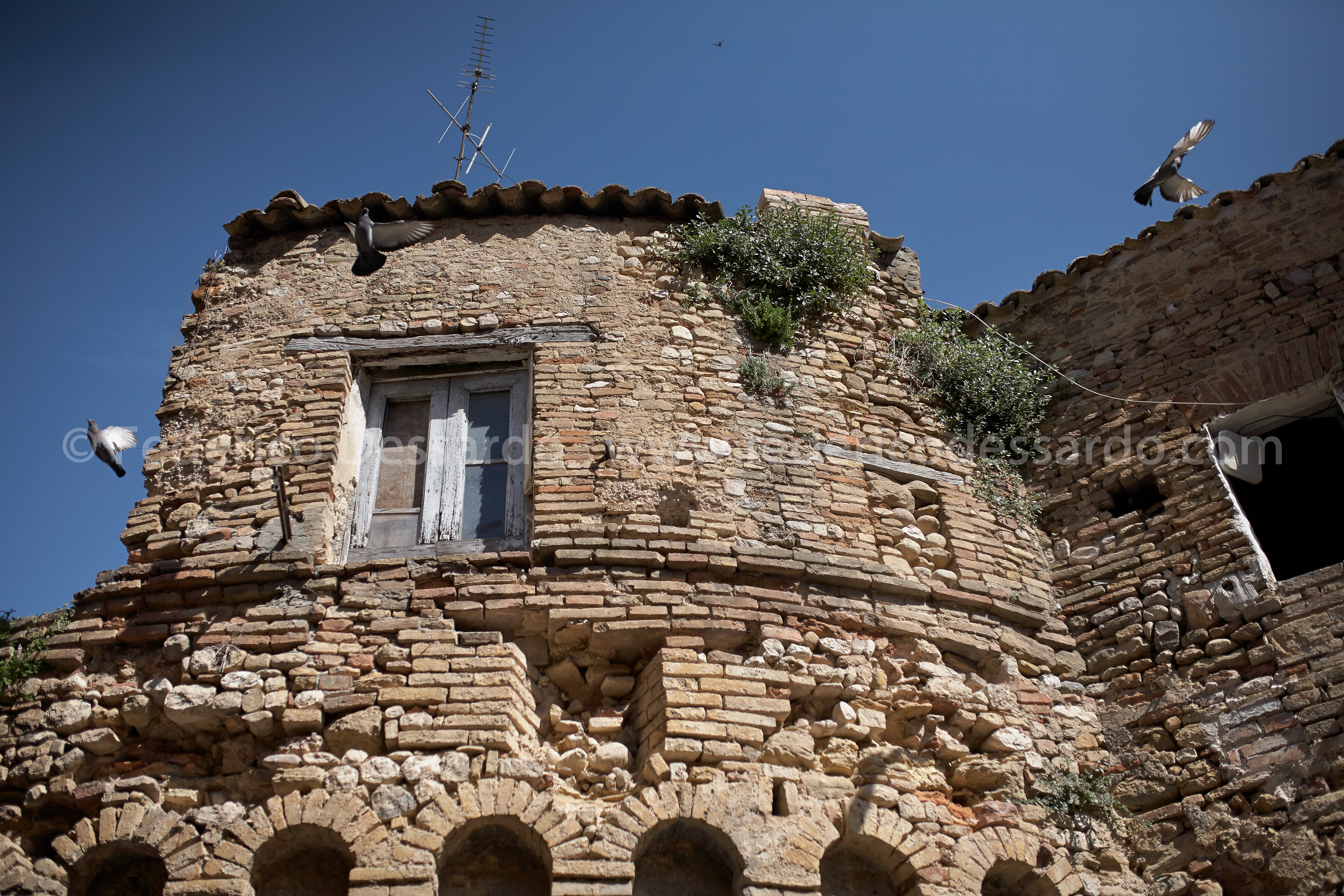 Torre del Moro Diomede